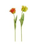 28" Real Touch Parrot Tulip Stem