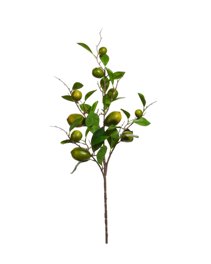 36" Lime Spray