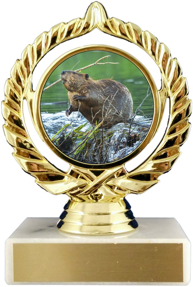 A trophy featuring an image of a beaver in the center, with a gold-colored ornate frame on the white marble base, with gold engraving plate.