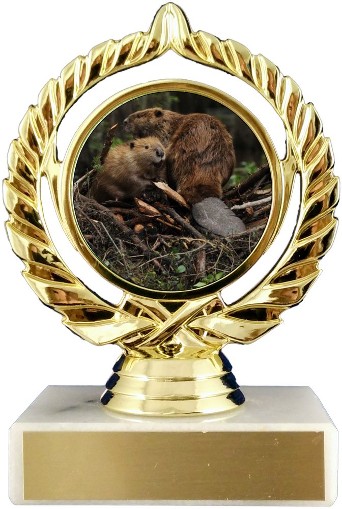 A trophy featuring an image of a beaver in the center, with a gold-colored ornate frame on the white marble base, with gold engraving plate.
