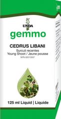 Cedrus libani