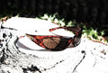 "I Did What?" Sunglasses (Tort)