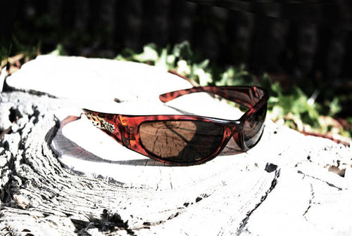 "I Did What?" Sunglasses (Tort)