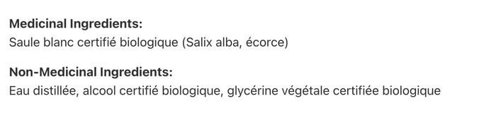 Saule blanc